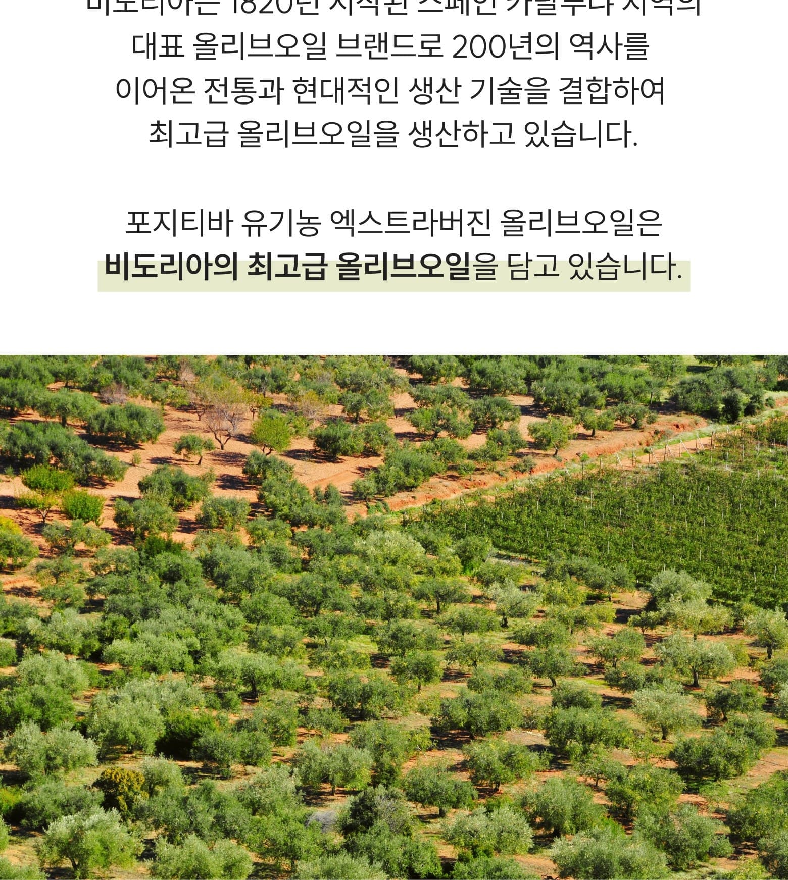레몬 올레샷 상세 13