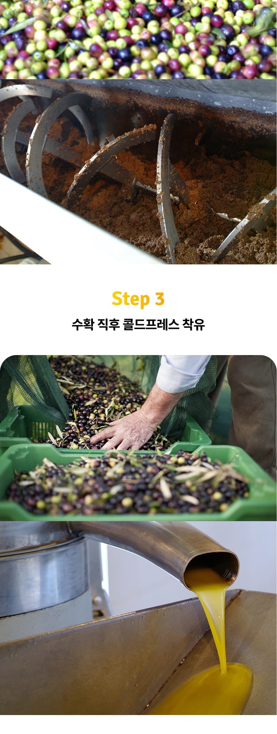 레몬 올레샷 상세 25
