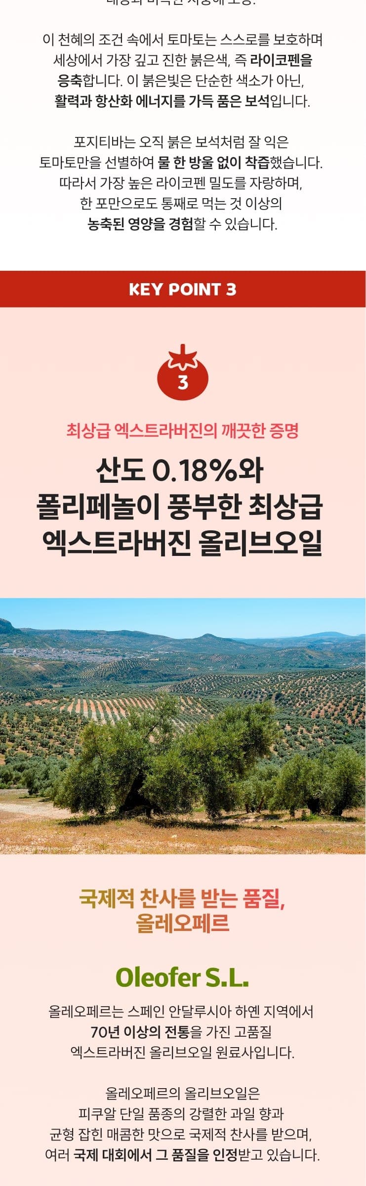올토샷 상세 6
