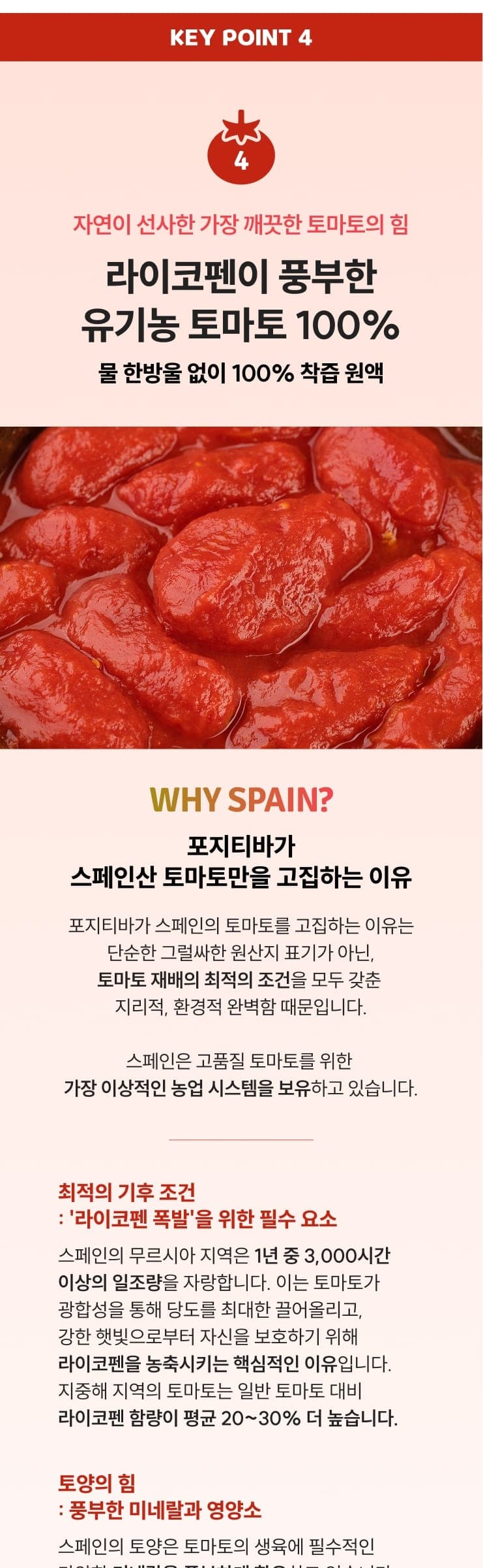 올토샷 상세 9