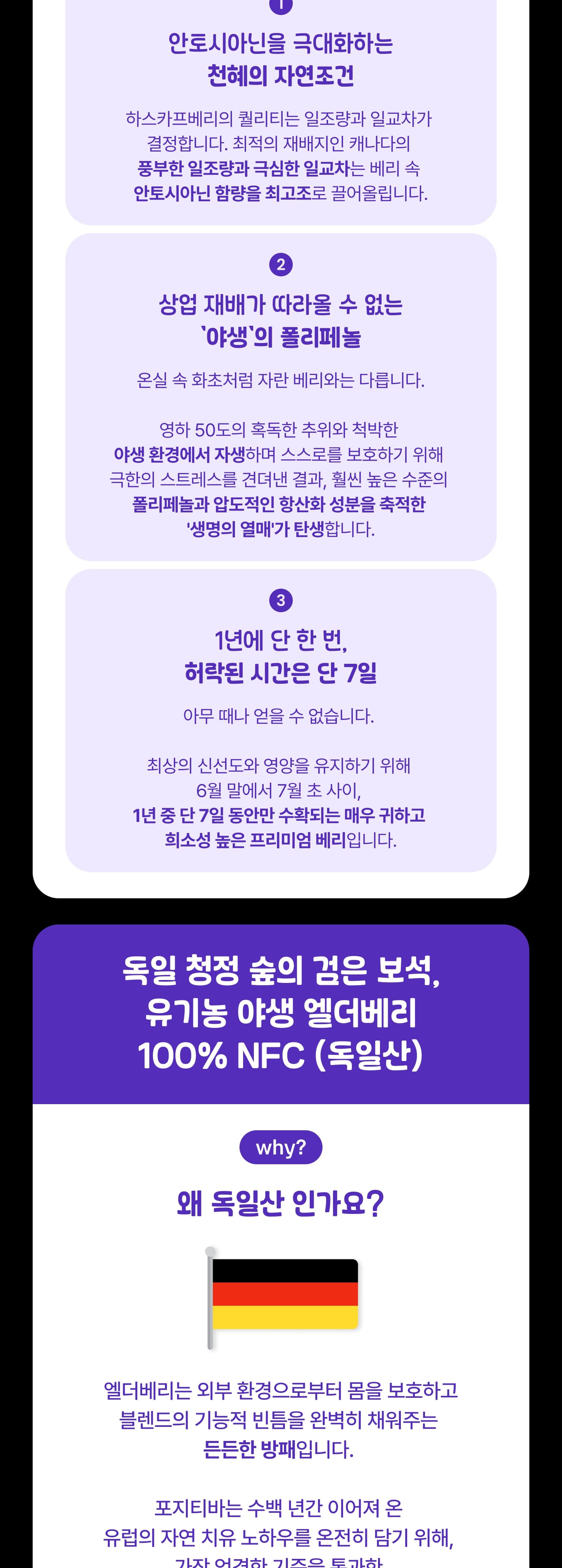 퍼플 시너지 블렌드 상세 10